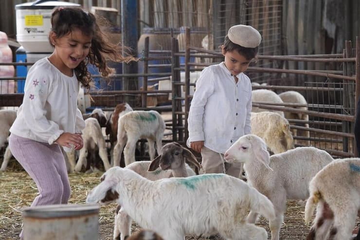"גילויי אהבה מחברות שבחרו במיוחד לקנות מאיתנו". הילדים טנא וסיני ב"משק שוורץ" (צילום: אפי שריר) "גילויי אהבה מחברות שבחרו במיוחד לקנות מאיתנו". הילדים טנא וסיני ב"משק שוורץ"