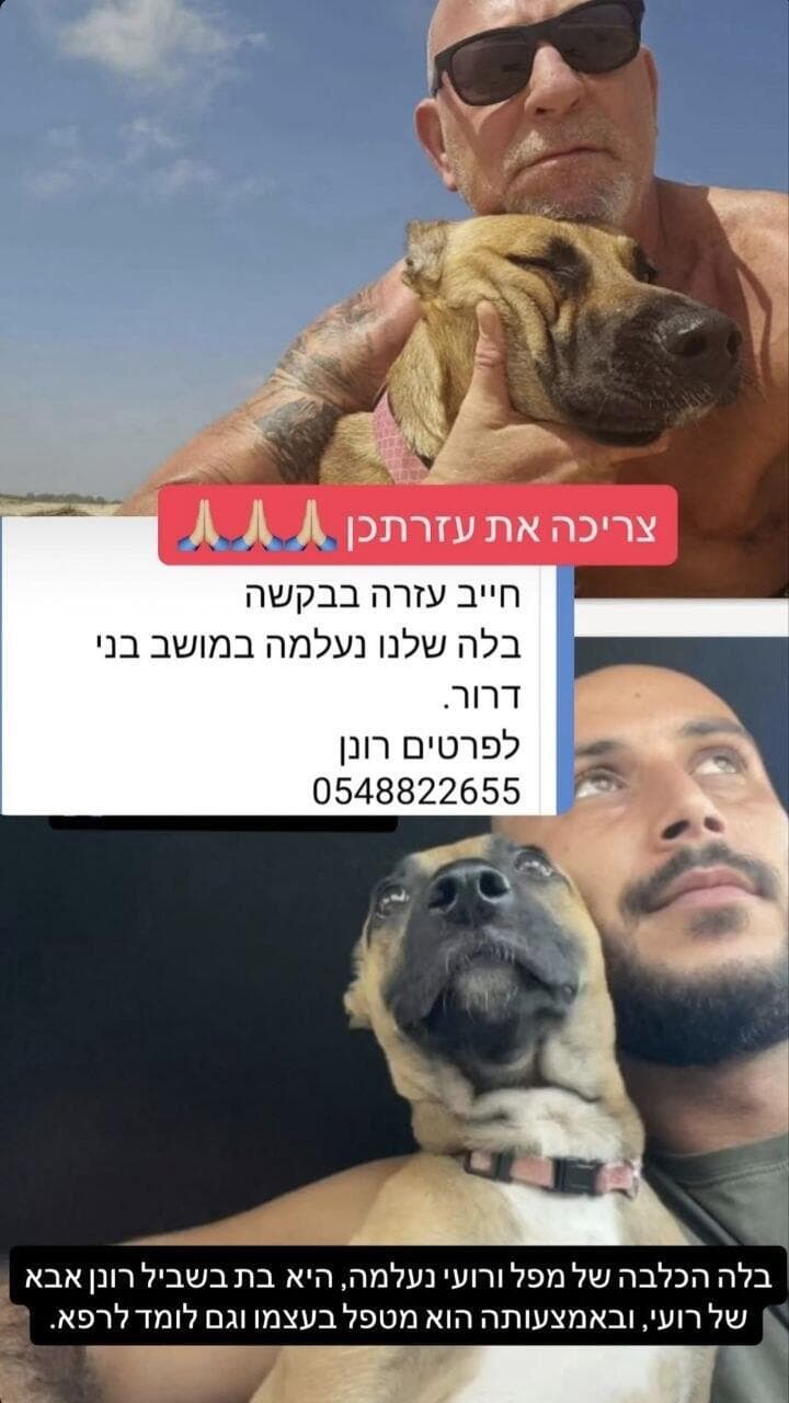 רונן (למעלה) ורועי ז"ל עם הכלבה בלה (צילום: באדיבות רונן שלו) רונן (למעלה) ורועי ז"ל עם הכלבה בלה