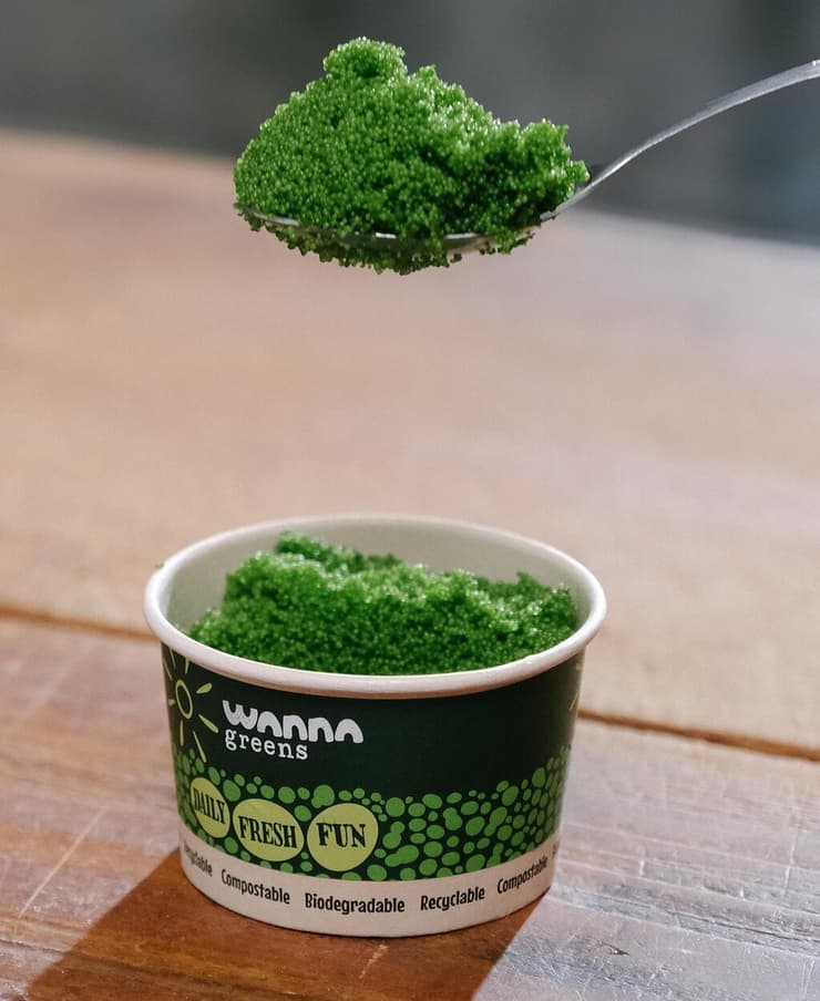 הירק הקטן בעולם - Wanna greens (GreenOnyx) הירק הקטן בעולם - Wanna greens