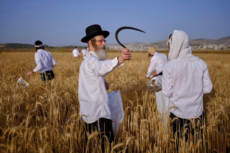 צילום: AP Photo/Ohad Zwigenberg חגיגות חג שבועות