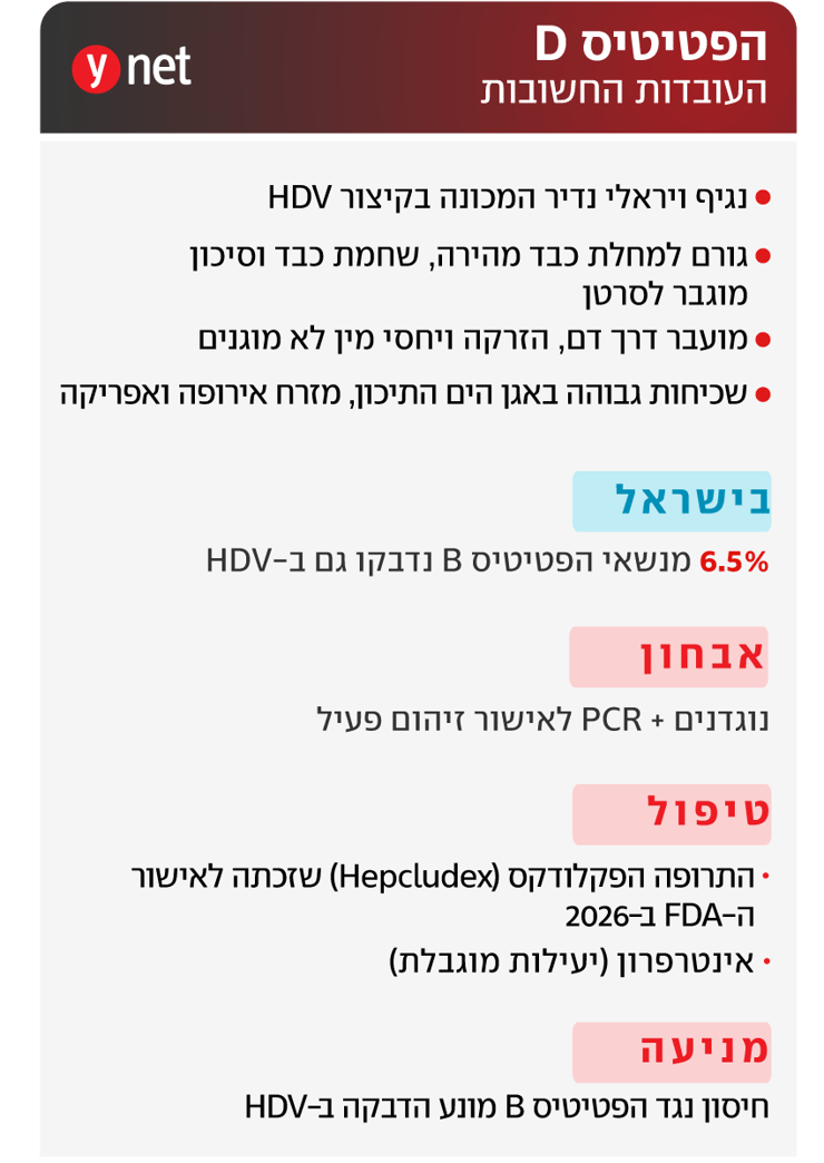 אינפו הפטיטיס D, דלקת כבד נגיפית אינפו הפטיטיס D, דלקת כבד נגיפית