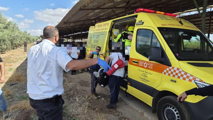 זירת התרסקות המטוס (צילום: תיעוד מבצעי מד"א ) זירת התרסקות המטוס