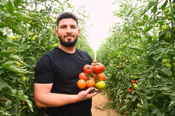 "הילדות הייתה סביב המשק". אבירם אלמוג (צילום: הרצל יוסף) אבירם אלמוג, חקלאי דור שני במושב אוהד