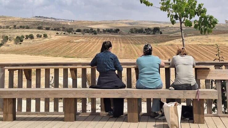 "מקום מיטבי לשיקום". מטופלים ומטופלות בחווה (צילום: קשת בן מובחר) חוות להב פועלת לשיקום פוסט טראומטיים בנגב