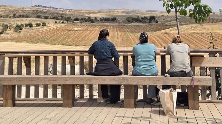 "מקום מיטבי לשיקום". מטופלים ומטופלות בחווה (צילום: קשת בן מובחר) חוות להב פועלת לשיקום פוסט טראומטיים בנגב