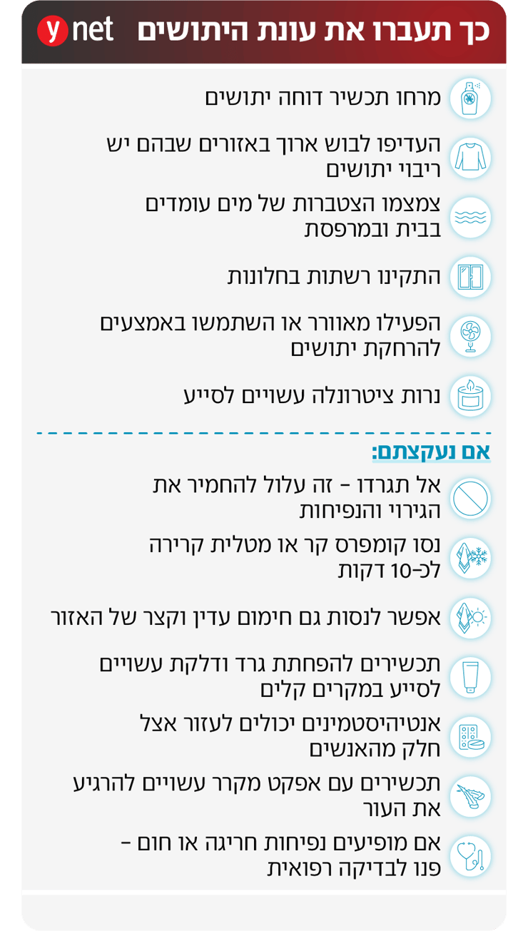 אינפו יתושים עקיצות אינפו יתושים עקיצות