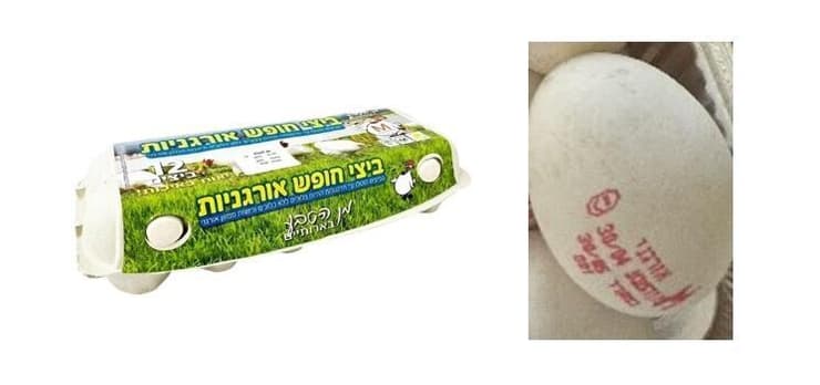 הביצים האורגניות של מילובר ביצים אורגניות