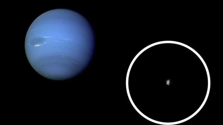 הירח נראיד (מוקף בעיגול) לצד נפטון (צילום: NASA / JPL) הירח נראיד (מוקף בעיגול) לצד נפטון