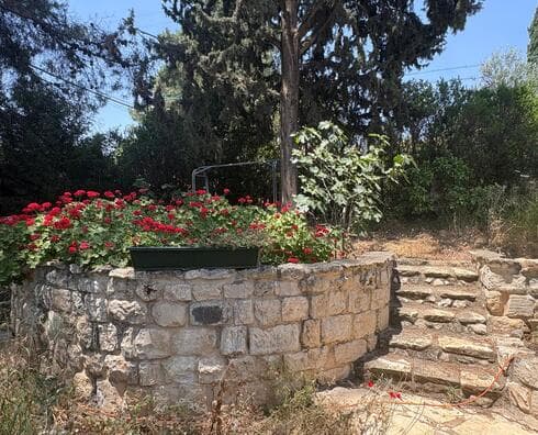 משפחת פלד - על הספה