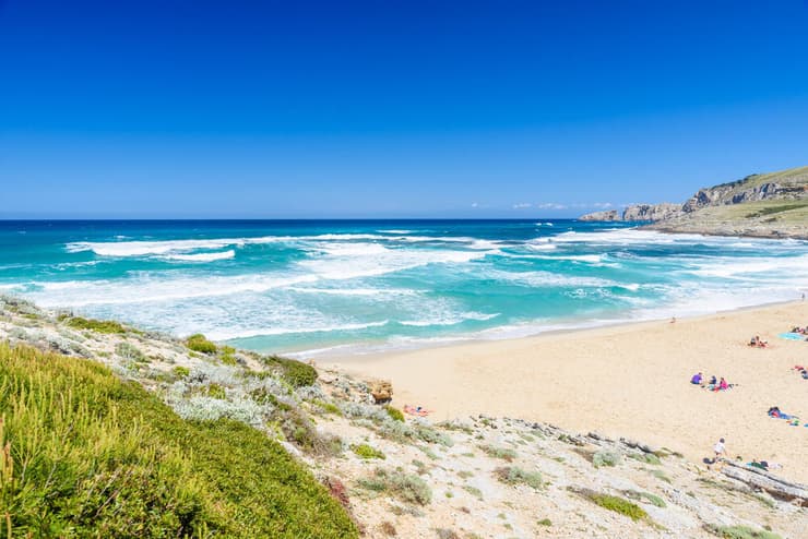 חוף Cala Mesquida Mallorca, ספרד (צילום: Simon Dannhauer / shutterstock) חוף Cala Mesquida Mallorca, ספרד