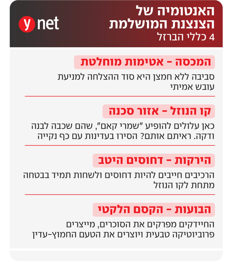התססה (ynet) התססה