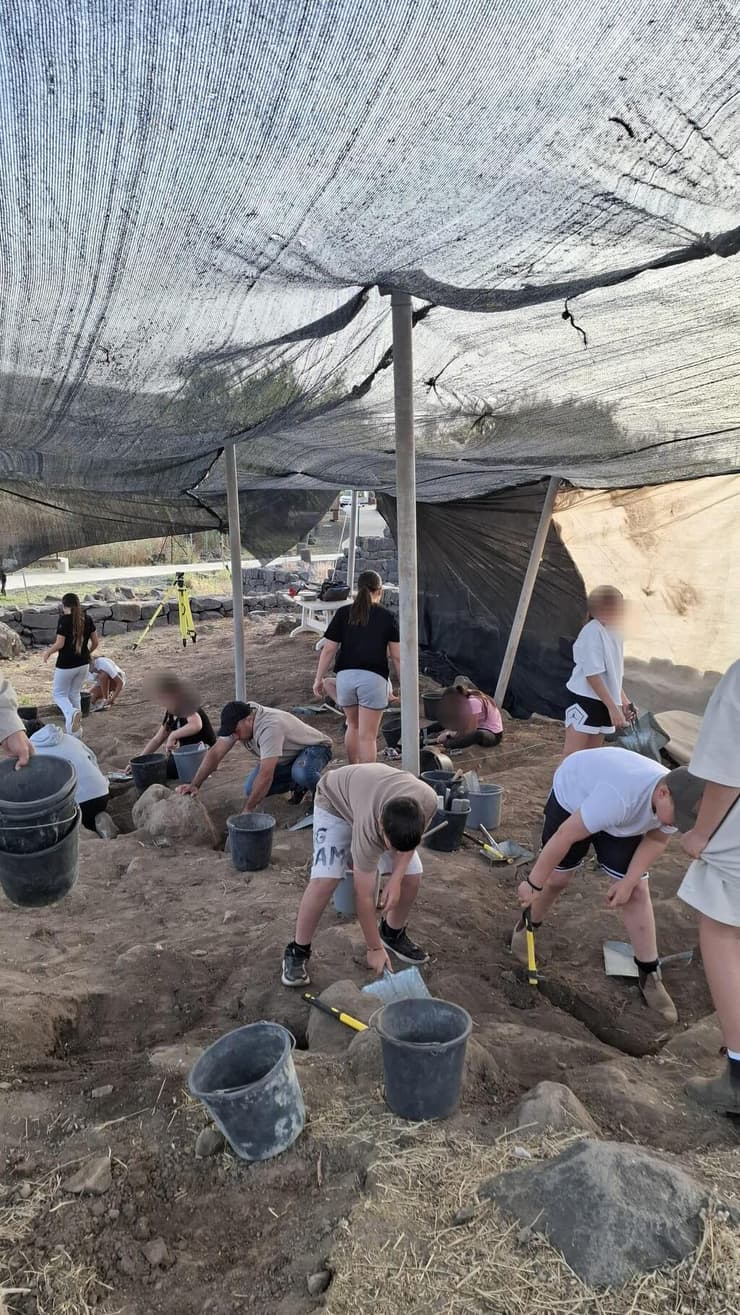 תלמידים חופרים בגן הלאומי שליד הכינרת (צילום: הדר קוינט, רשות הטבע והגנים) תלמידים חופרים בגן הלאומי שליד הכינרת