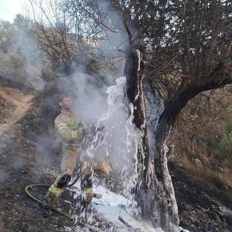 "כל סיגריה שמושלכת מרכב מספיקה כדי להצית שריפה כזו" (צילום: אילה נוי-מאיר) "כל סיגריה שמושלכת מרכב מספיקה כדי להצית שריפה כזו"