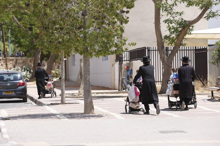 ערד, 2026 (צילום: גדי קבלו) ערד, 2026