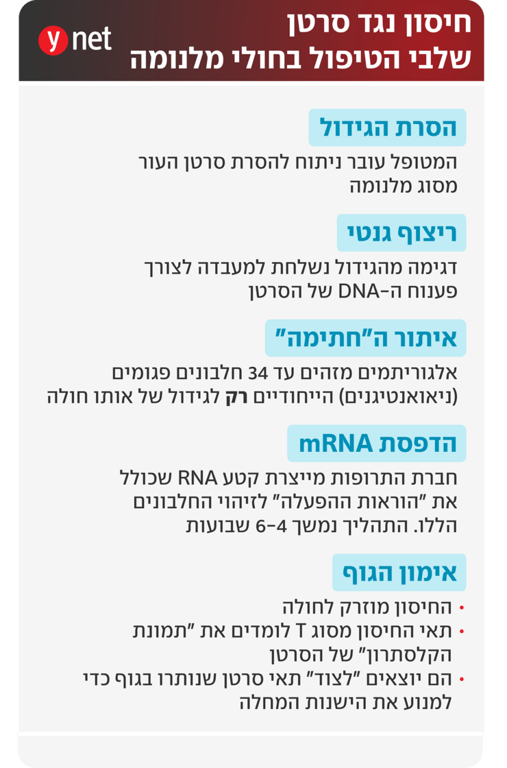 אינפו חיסון נגד סרטן למניעת הישנות מלנומה אינפו חיסון נגד סרטן למניעת הישנות מלנומה