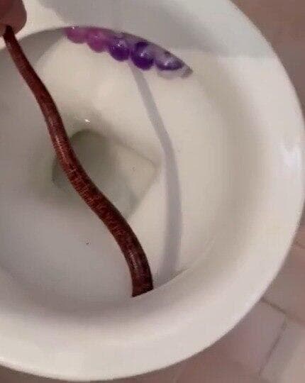 בן בסט מנסה להוציא את קמטן החורש מהאסלה