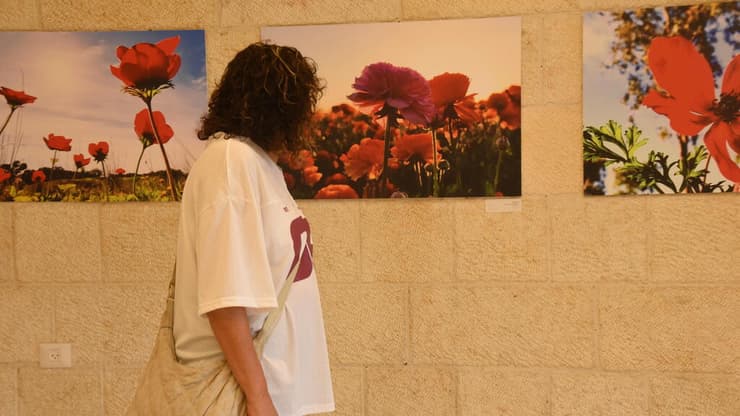 מתוך התערוכה "יופי מאיים", עם צילומיו של רועי עידן ז"ל