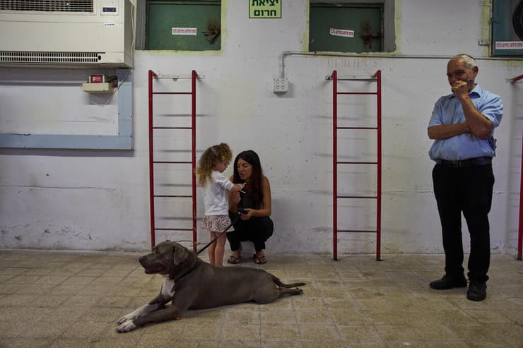 רמת גן (צילום: AP Photo/Oded Balilty) רמת גן
