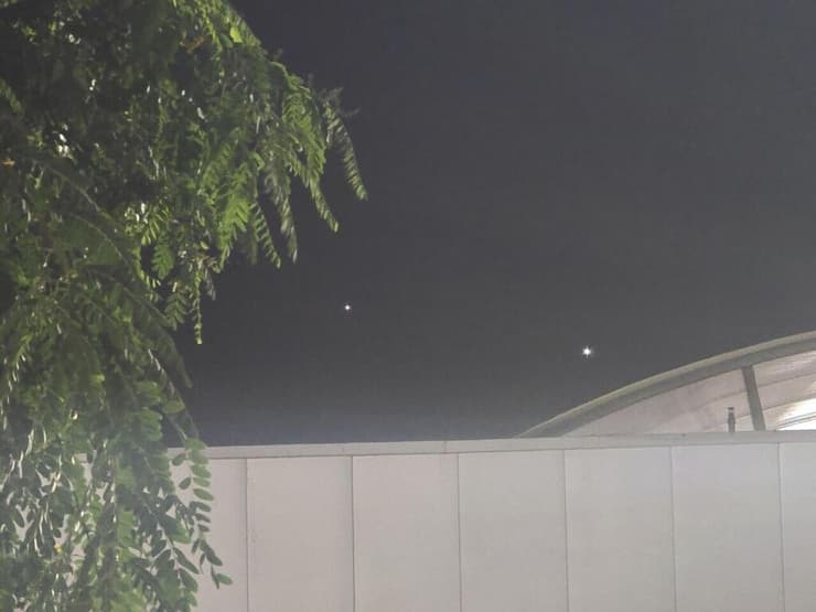 נוגה מימין וצדק משמאל (צילום: יוגב ישראלי) נוגה מימין וצדק משמאל