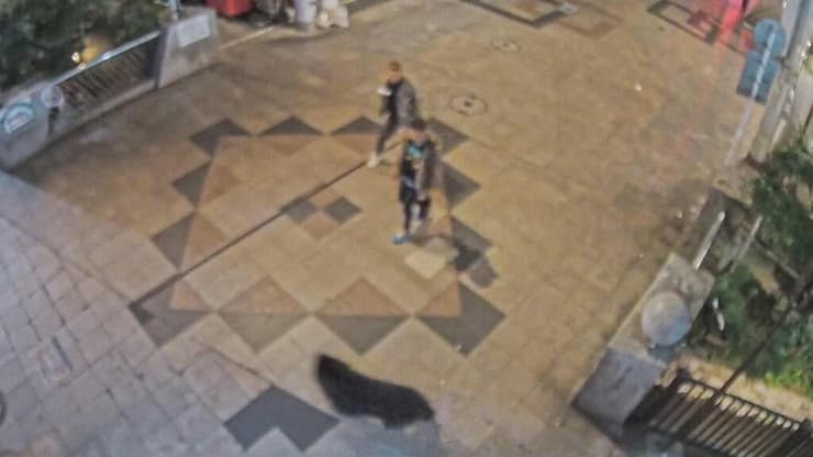 תיעוד של הדוב מסתובב בעיר, ליד תושבים (צילום: ORION STREET MALL PROMOTION ASSOCIATION/Handout via REUTERS) חיפושים אחר דוב ב עיר אוצונומיה יפן