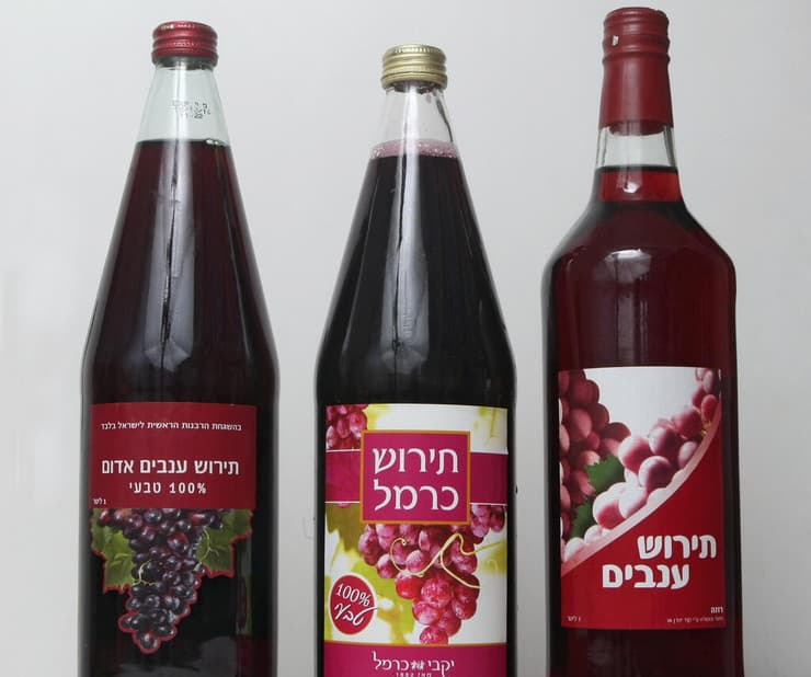 יינות תירוש של יקבי כרמל (צילום: צביקה טישלר) יינות תירוש של יקבי כרמל