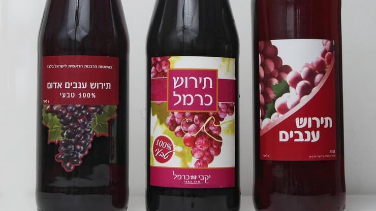 יינות תירוש של יקבי כרמל (צילום: צביקה טישלר) יינות תירוש של יקבי כרמל