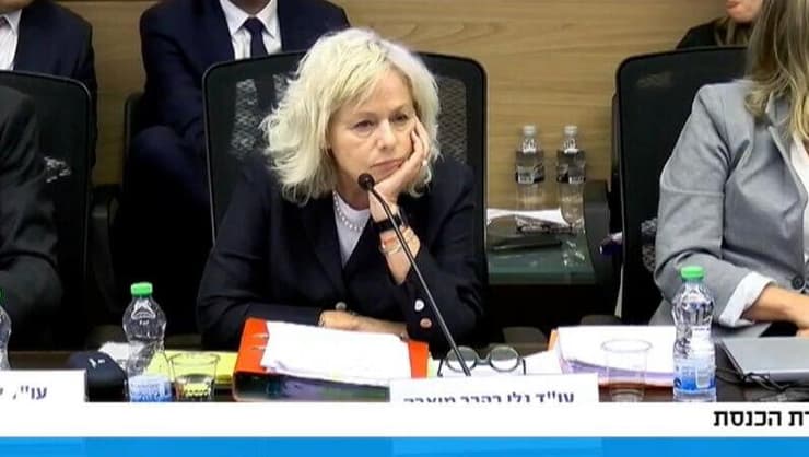 היועמשית גלי בהרב מיארה (צילום:ערוץ כנסת ) היועמשית גלי בהרב מיארה