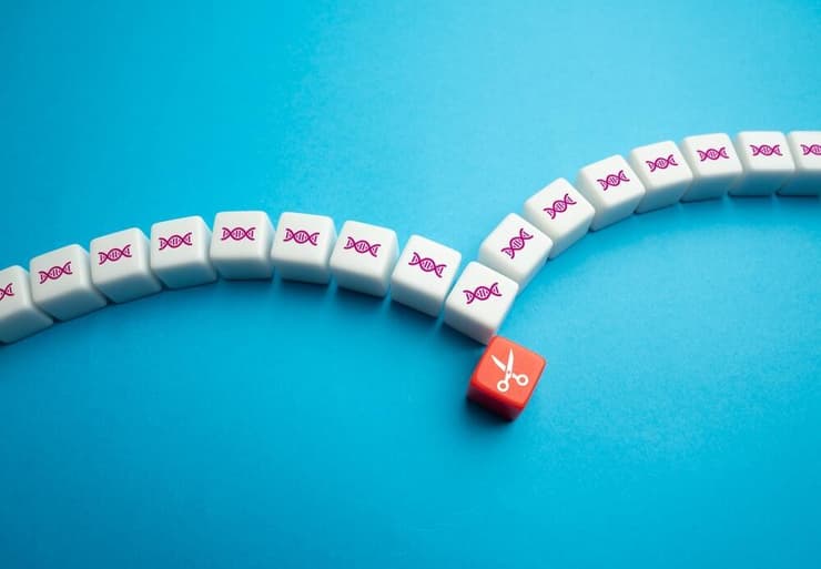 עריכה גנטית (צילום: shutterstock) עריכה גנטית תיקון דנ"א