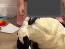 אחת הילדות שהתלוננו אחת הילדות שהתלוננו נגד הסייעת