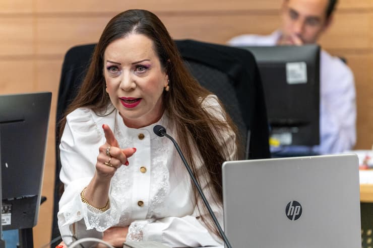 ח"כ טלי גוטליב (צילום: שלו שלום) ח"כ טלי גוטליב