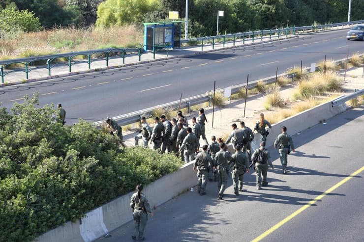 צילום: שאול גולן צומת גנות