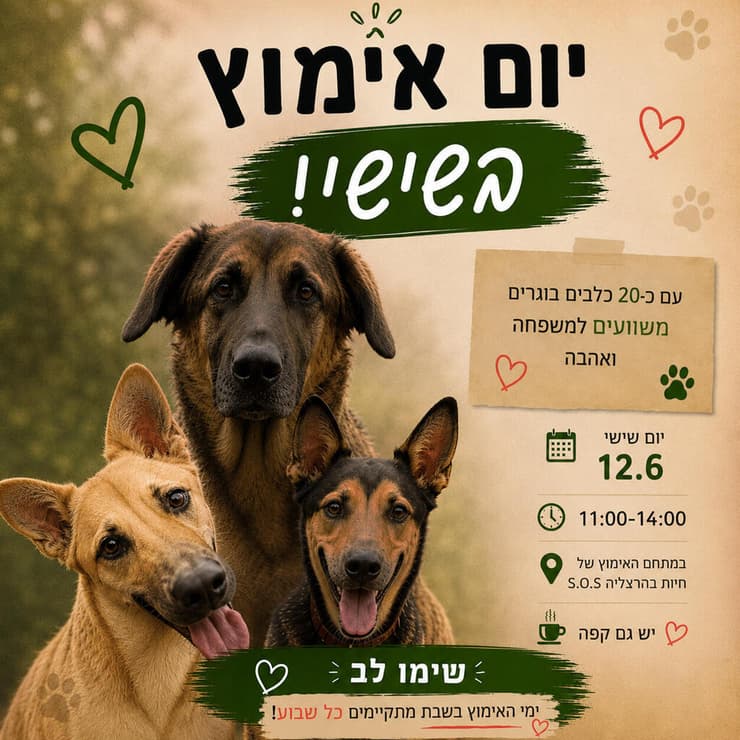 צילום: עמותת S.O.S חיות