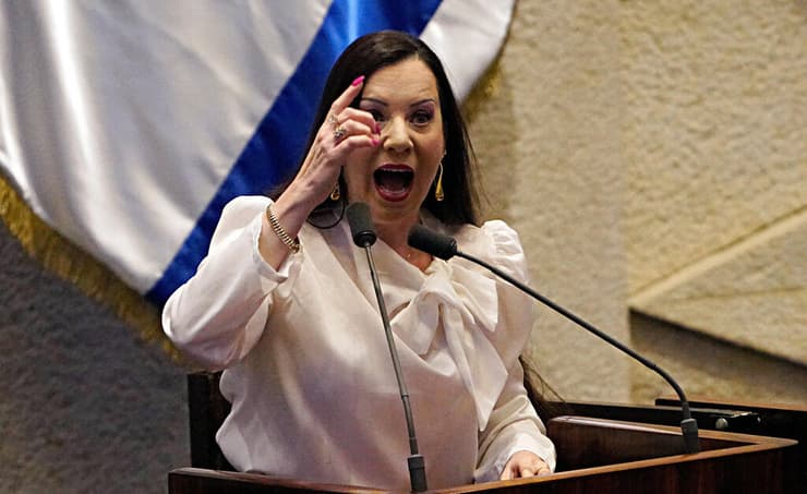 ח"כ טלי גוטליב (צילום: אלכס גמבורג) ח"כ טלי גוטליב