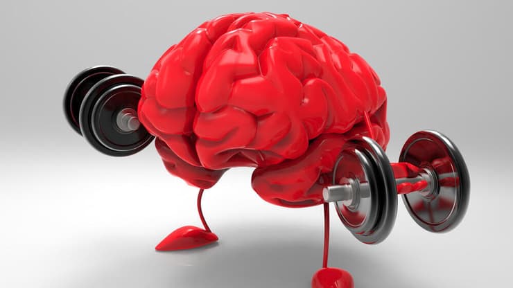 למזער את הנזק באמצעות פעילות גופנית (צילום: shutterstock) שמירה על בריאות המוח