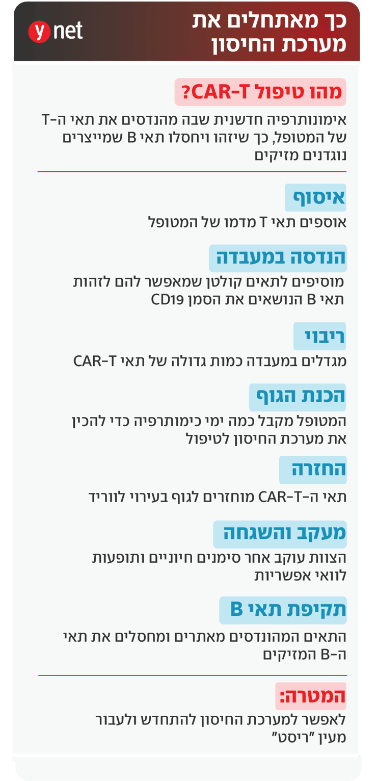 אינפו CAR T אינפו CAR T