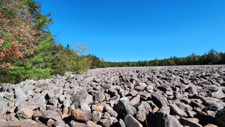 ה-Boulder Field (צילום: דרור גליקסמן) Hickory Run State Park