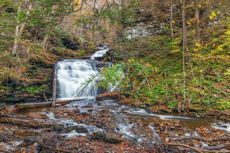 זרימה מהפנטת (צילום: VIKVAD / shutterstock) Ricketts Glen State Park