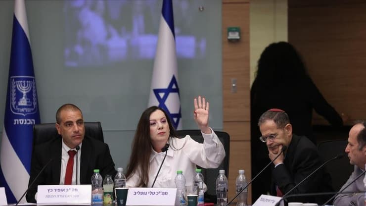"גלעד קריב הוציא פרוטוקולים חסויים". ההצבעה על הסרת החסינות של גוטליב (צילום: אלכס קולומויסקי) הצבעה על חסינות גוטליב