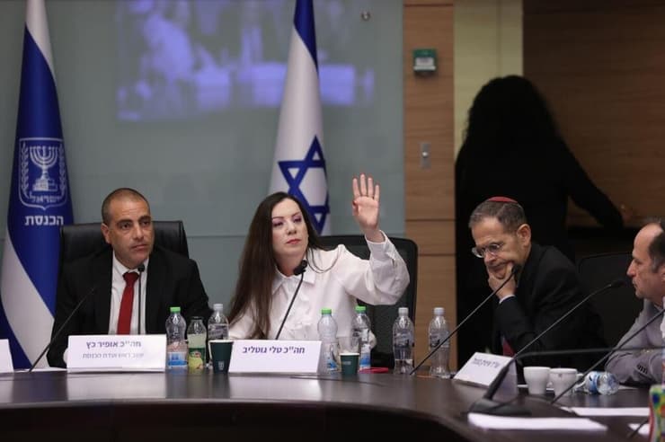 הצבעה על חסינות גוטליב (צילום: אלכס קולומויסקי) הצבעה על חסינות גוטליב