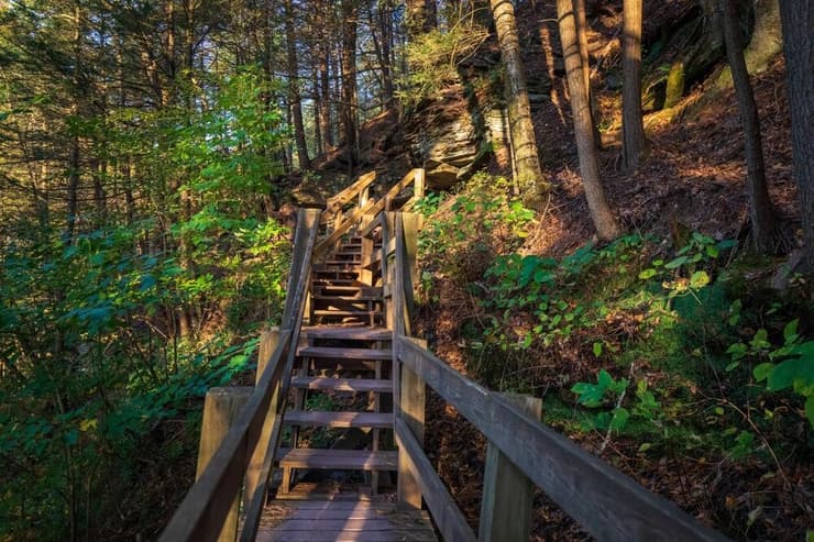 מדרגות עץ לאורך המסלול (צילום: RonaldL / shutterstock) Leonard Harrison State Park