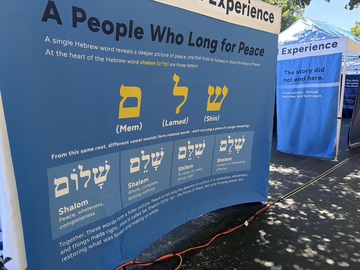 מתוך התערוכה (צילום: דניאל אדלסון) מתוך התערוכה