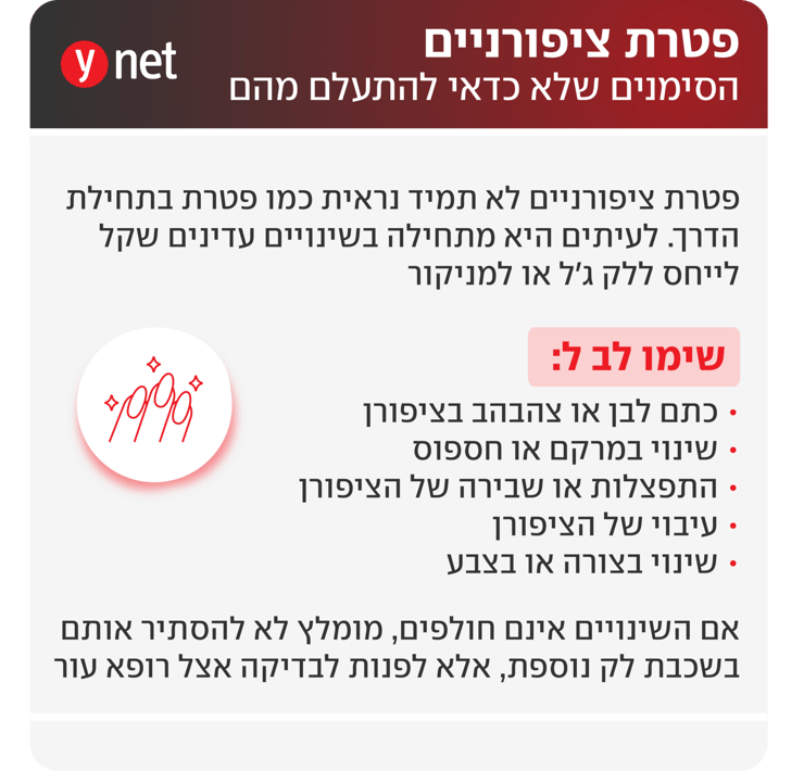 אינפו פטרת ציפורניים אינפו פטרת ציפורניים
