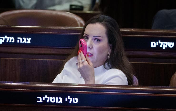 טלי גוטליב. "מה שהיה הוא שיהיה" (צילום: שלו שלום) הצבעות בעניין מתן חסינות לח"כ טלי גוטליב