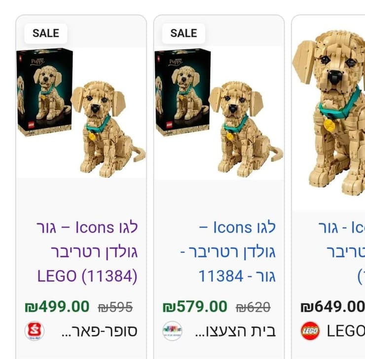 זולה בכלבלב זולה בכלבלב