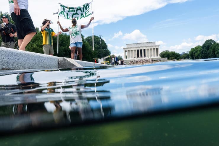 מפגין עם שלט שעליו נכתב "Team algae" (צילום: REUTERS/Aaron Schwartz) ארה"ב וושינגטון בריכת ההשתקפות