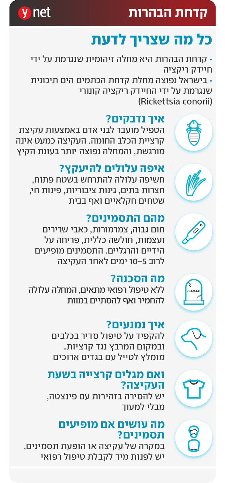 אינפו קדחת הבהרות אינפו קדחת הבהרות