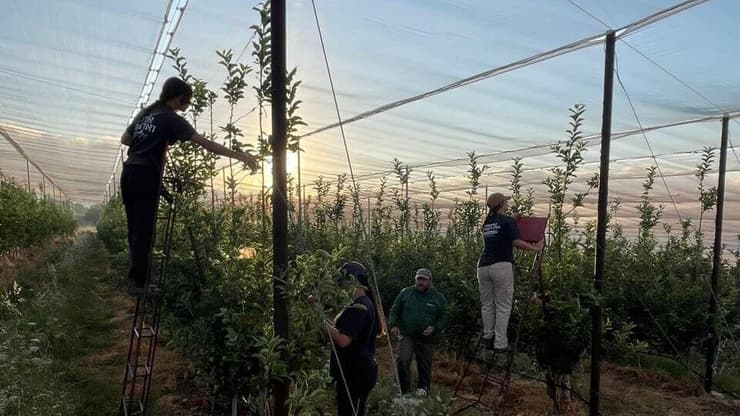 "לא נכון וראוי לנטוש את החקלאים, ולצאת לחודשיים של חופשה". החניכים עם שובם למטעים   