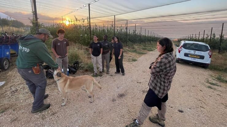 "כשחזרנו כל הגעגועים השתחררו, וגם האהבה שלנו למקום"   