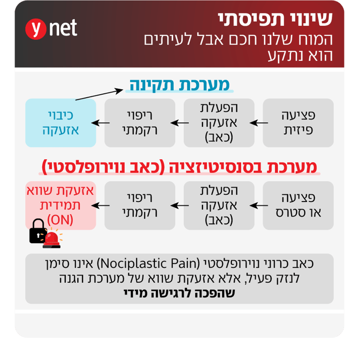 למה השרירים כואבים? זה קשור למוח
