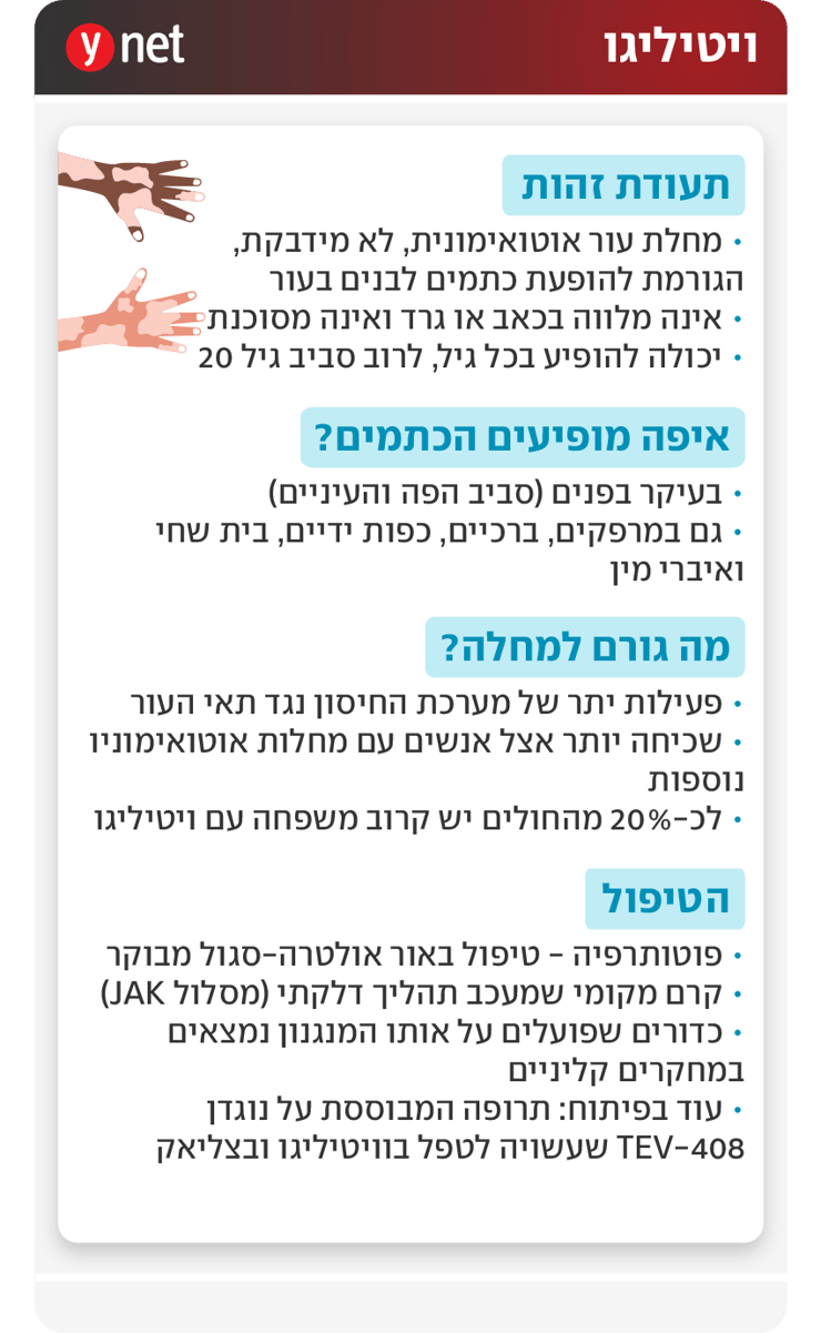 אינפו ויטיליגו